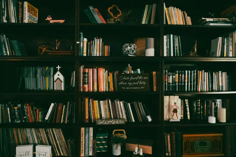 Rak buku minimalis dengan beberapa novel dan silica gel di sudut